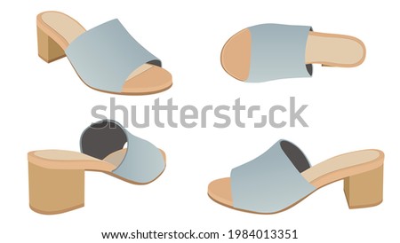 set of  Women Shoes, Women Sandal isolated on white background