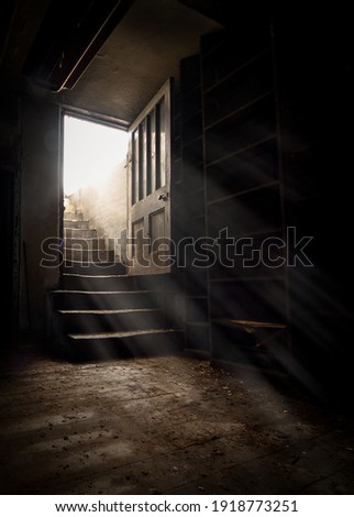 Similar – Foto Bild Schattenwurf einer Treppe und einer Palme an einer weißen Fassade mit Fenstern