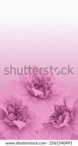 Similar – Image, Stock Photo Floral arrangments of tender ranunculus flowers