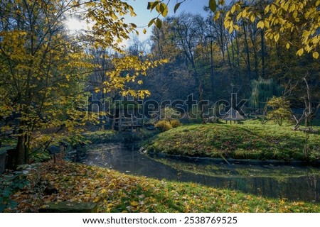 Similar – Image, Stock Photo Leaves and haze on the water against the light