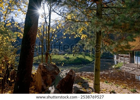 Similar – Image, Stock Photo Leaves and haze on the water against the light