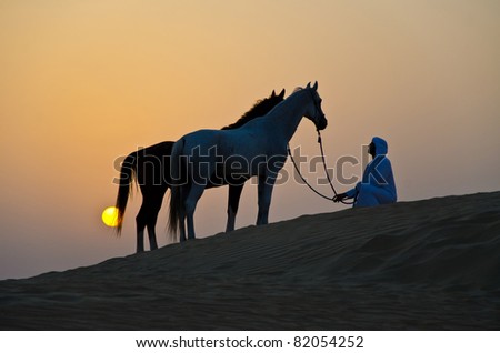 Arab Man with Arabian Horse in the Arabian Desert during the sunset