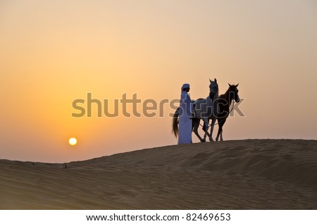Arab Man with Arabian Horses in the desert during sunset