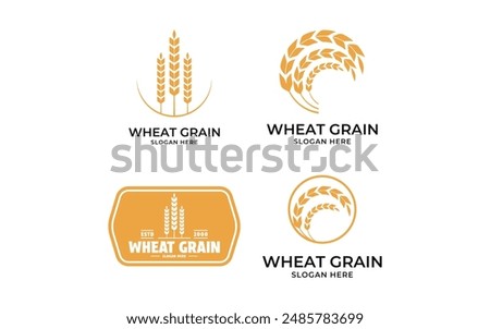 set collection wheat agriculture logo design concept idea