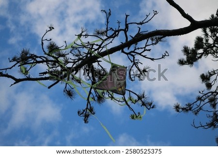 Similar – Image, Stock Photo Kite caught on tree kites