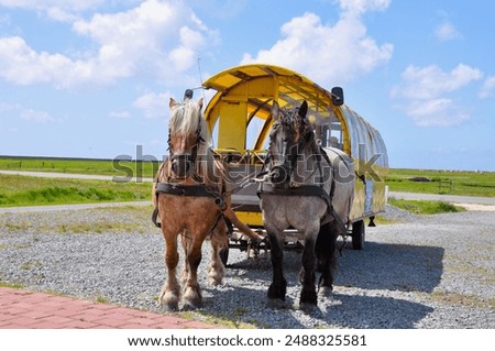 Similar – Image, Stock Photo Houses on Hallig Hooge in the North Sea