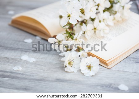 Cherry tree flowers on a page of an old book. Spring Blossom. Romantic