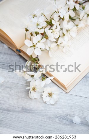 Cherry tree flowers on a page of an old book. Spring Blossom. Romantic