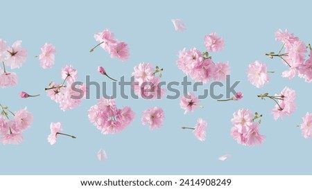 Similar – Foto Bild Rosa Blumen auf hellblauem Hintergrund