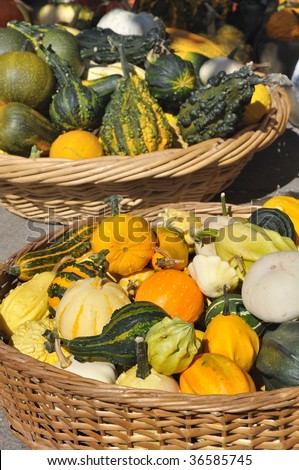 baskets of fresh vegetables with pumpkins in an outdoor market