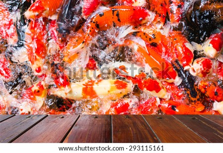 Look out from the table, blur of koi or fancy carp  feeding, use for product presentation related Images.