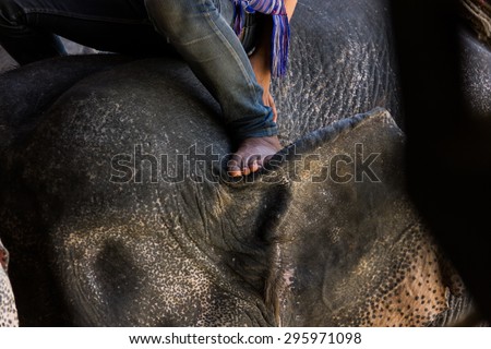 Control elephant by mahout foot.