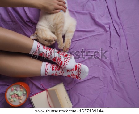 Similar – Image, Stock Photo The young tomcat still loved the danger, he especially liked to turn headfirst on the pitch of the roof.