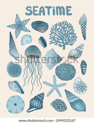 Image, Stock Photo Beach_Snailhouses_Eurchins
