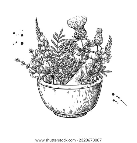 Mortar and pestle with herbs. Alternative medicine objects vector drawing. Herbal plants, leaves and flowers sketch. Botanical illustration. Label for wellness, homeopathy treatment, organic products