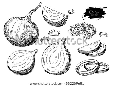 Onion hand drawn vector set. Full, rings and Half cutout slice. Isolated Vegetable engraved style object. Detailed vegetarian food drawing. Farm market product. Great for menu, label, icon