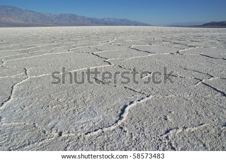 Salt polygons in Death Valley lake in the early morning