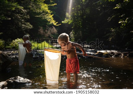 twin brothers fishing for crayfish in a stream with nets Photo stock © 