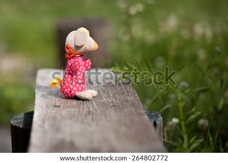 Stuffed toy on old bench in country garden, summer sunny day