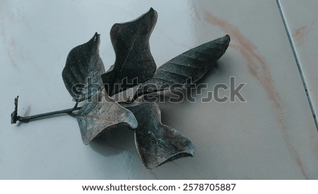 Similar – Image, Stock Photo Impression with emphasis