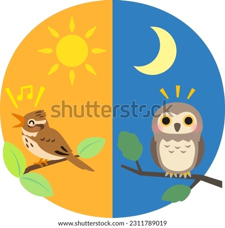 Early bird and night owl