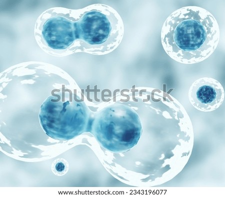 Similar – Image, Stock Photo cell division