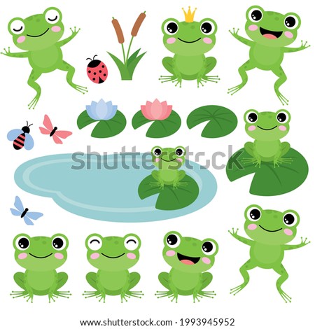 Green frogs on a white background. Vector illustration 