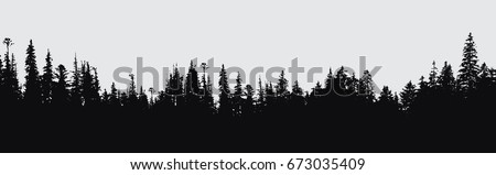 forest silhouette background.View to realistic coniferous trees.Vector monochrome version