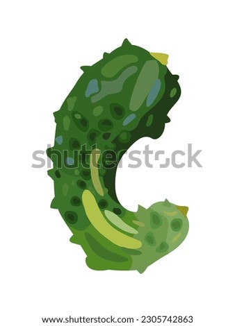 Ugly cucumber. Imperfect vegetable. Vector isolated illustration. Ugly food.