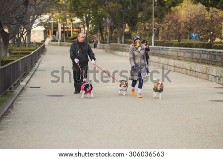 OSAKA, JAPAN - FEBRUARY 9, 2015: An unidentified people are leashing the dogs and walking around Osaka Castle Park.