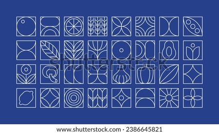 Geometric food pattern. Minimal linear natural organic fruit vegetables plant shapes, brand identity design. Vector simple set