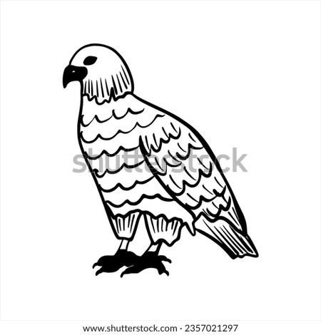 Vector sketch hand drawn eagle silhouette