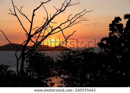 Similar – Image, Stock Photo Sunset on Thursday Island. In the golden glow, the water shines. In front a group of trees and behind a small island with passage to the sea.