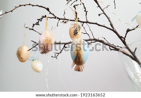 Easter dekorative eggs on tree branches.  Zdjęcia stock © 