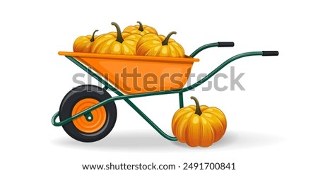 Farm wheelbarrow filled with ripe appetizing pumpkins. Wheelbarrow with pumpkins isolated on white background. Vector illustration