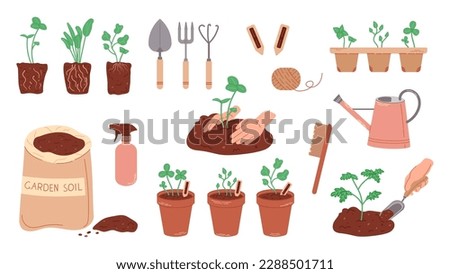 Set of objects for growing plants. Flat illustration of seedlings in pots, soil for planting. Planting a garden by human hands, home gardener.
