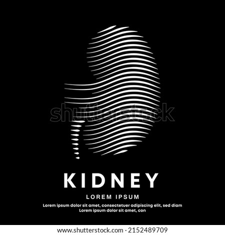 Human kidney medical structure. simple line art kidney logo design vector illustration on dark background. Urology logo vector template suitable for organization, company, or community. EPS 10 Stock foto © 