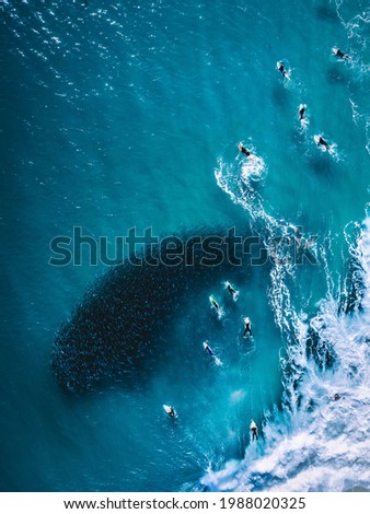 Similar – Image, Stock Photo Rainbow over a paddling pool in a garden