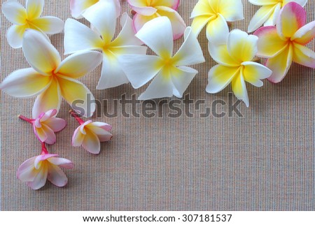 Various plumeria flower lay on brown cloth with a small vertical lines have a little space