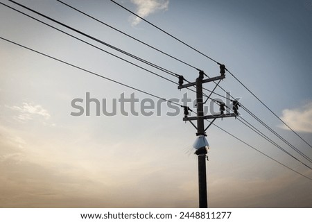 Similar – Image, Stock Photo Street, meadow with distribution box, facades of single-family houses, small town