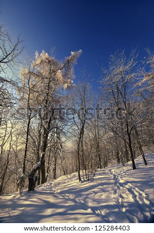 sunny winter day in Eastern Europe
