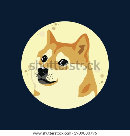 Dogecoin Doge Against Full Moon