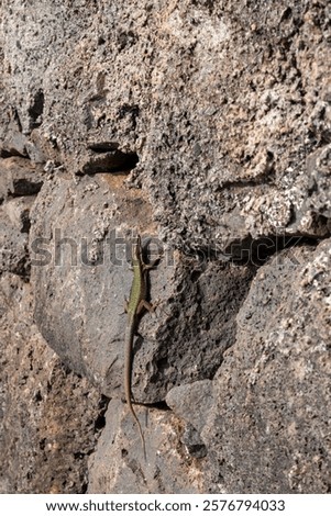 Similar – Foto Bild warm angestrahlter Felsen vor blauem Himmel