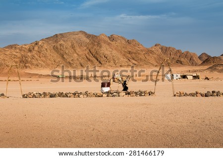 Mountains in the desert in Egypt Landscape in the desert in Egypt. Rocky hills. Blue sky. Bedouin with a camel.