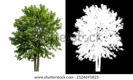 Similar – Image, Stock Photo A tree with a bench and a green field with a copy space