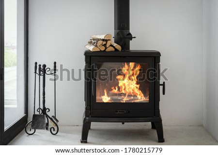 Concept of fireplace with fire at home. Comfortable living room with log wood on top of metal fireside, behind glass door and modern interior design