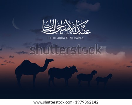 Eid al-Adha Mubarak calligraphic inscription translated into English as Feast of the Sacrifice. The sacrifice of camel cow sheep and goat.  Translation from Arabic: Eid al-Adha