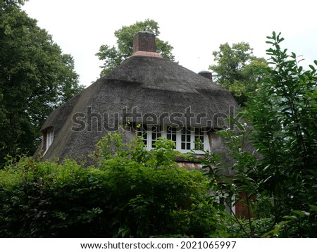 Foto Bild Dorfwiese Reetdach Wiese