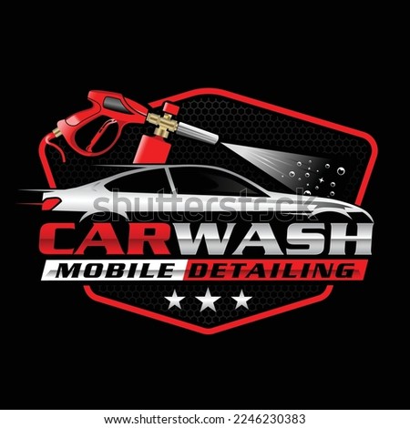 Carwash and automotive detailing logo design template