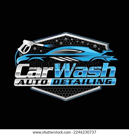 Car wash and auto detailing logo design